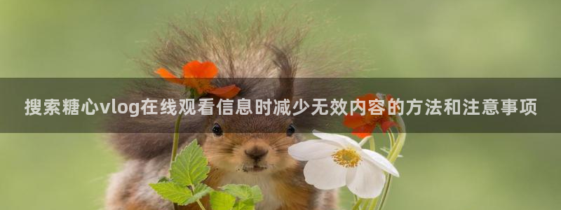 糖心的vlog：搜索糖心vlog在线观看信息时减少无效内容的方法和注意事项