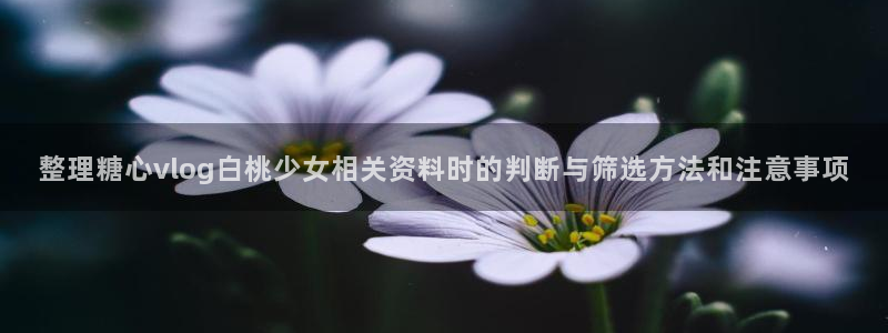 糖心vlog 免费