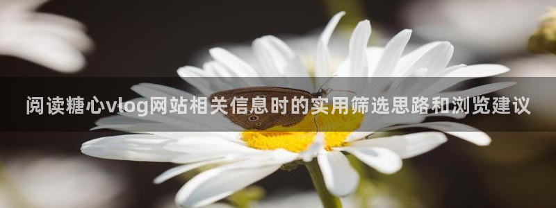 糖心logo官网:阅读糖心vlog网站相关信息时的实用筛选思路和浏览建议