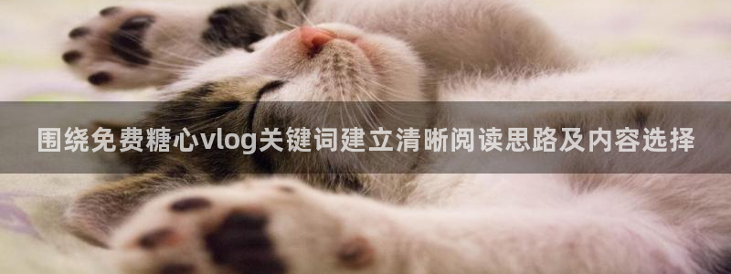糖心精品